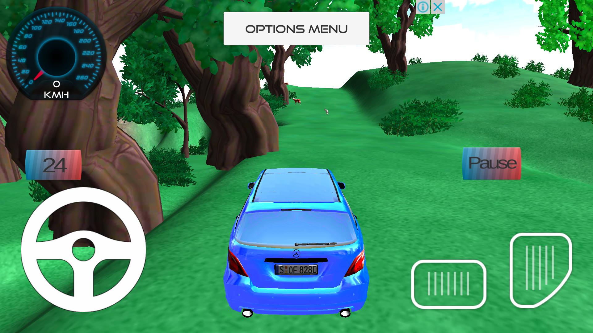 Car Drive 2019