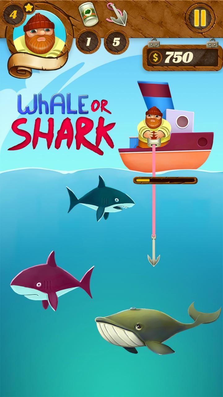 Whale or Shark