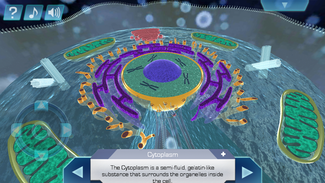 Cell World
