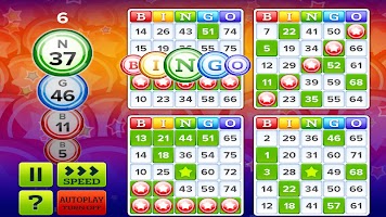 Bingo Bonus