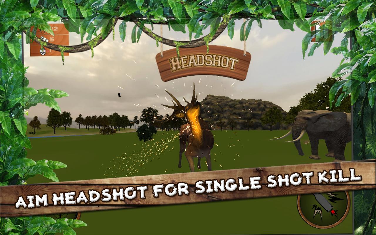 Deer Forest Hunting