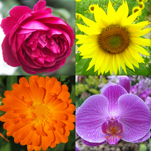 Flowers